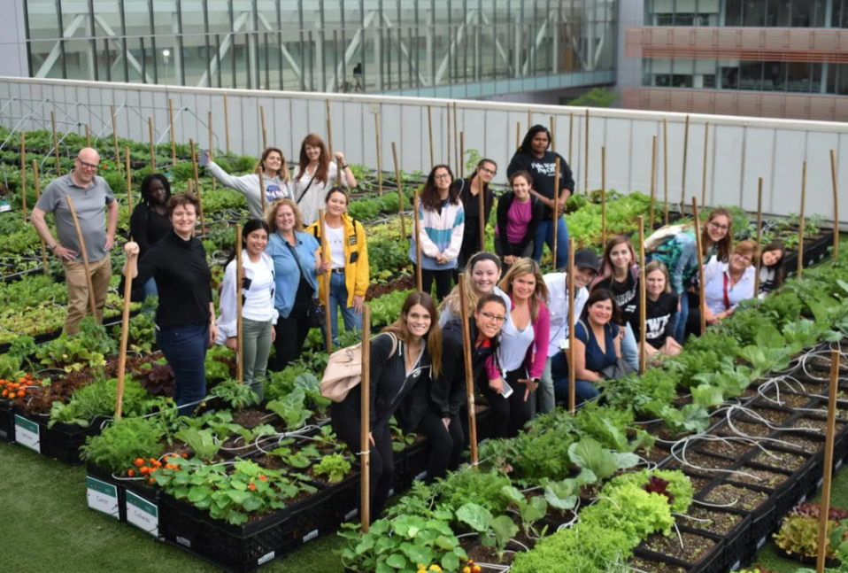 Community agriculture project