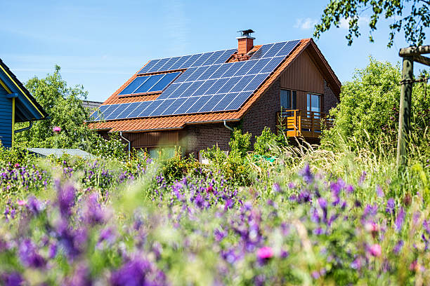 House with solar panels and green garden